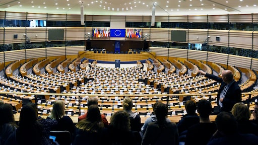 Europees Parlement wil stemmen per volmacht mogelijk maken tijdens zwangerschapsverlof