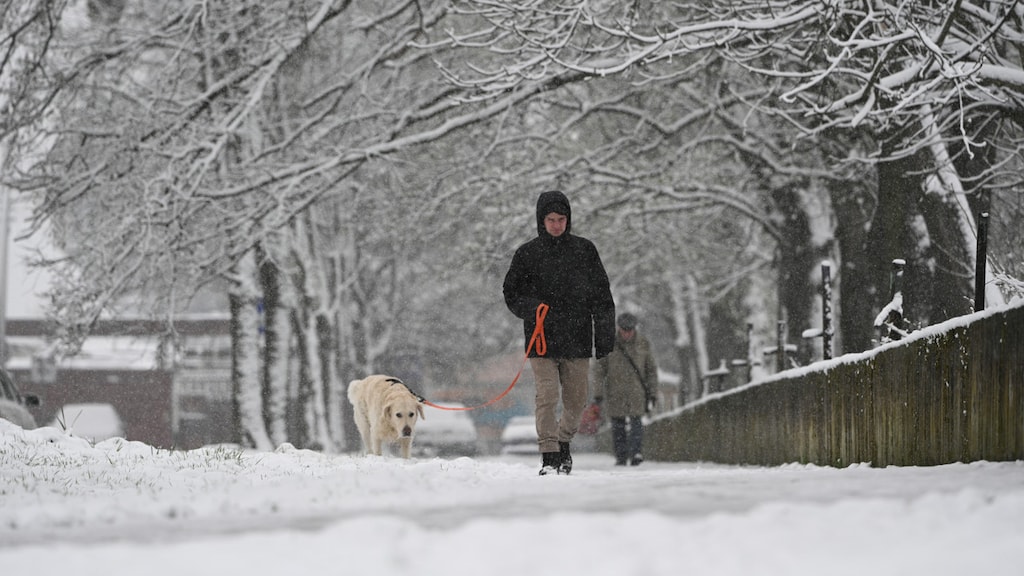 Oekraïners bereiden zich voor op de koudste winter van de oorlog