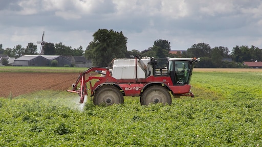 Te veel landbouwgif in Jumbo-rozijnen: zo gevaarlijk is dat