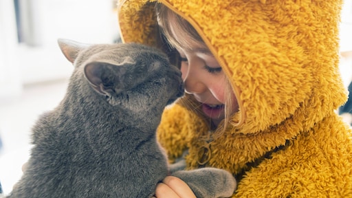 7 redenen waarom katten een positief effect op je gezondheid hebben