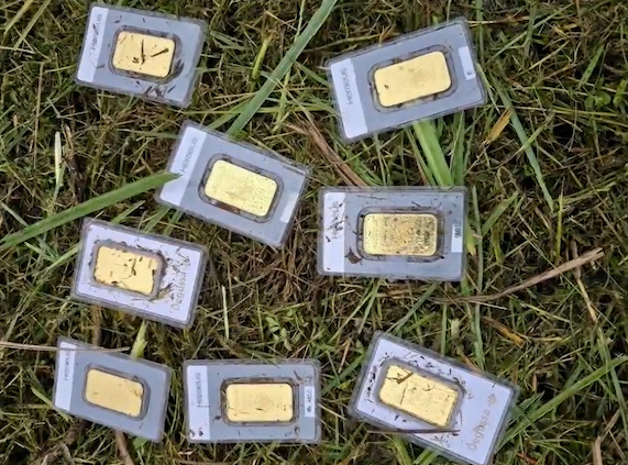 Duitse plantsoenmedewerker vindt 8 goudstaven tijdens grasmaaien