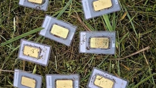 Duitse plantsoenmedewerker vindt 8 goudstaven tijdens grasmaaien