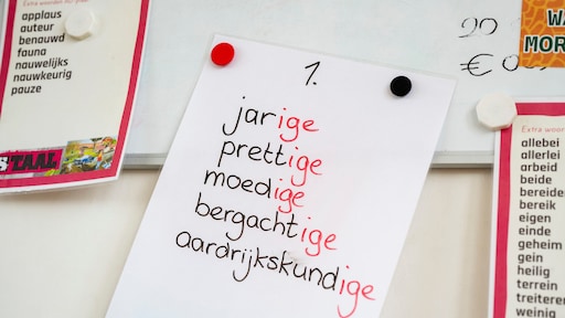 Inspectie: veel middelbare scholieren vinden schrijven simpele tekst lastig