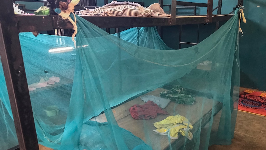 Vijftig ontvoerde scholieren in Nigeria afgelopen dagen ontsnapt