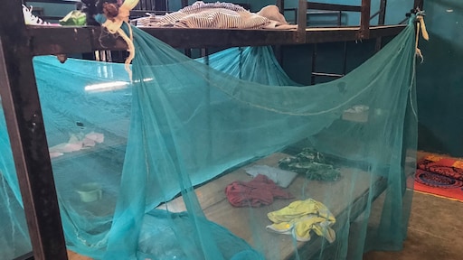 Vijftig ontvoerde scholieren in Nigeria afgelopen dagen ontsnapt