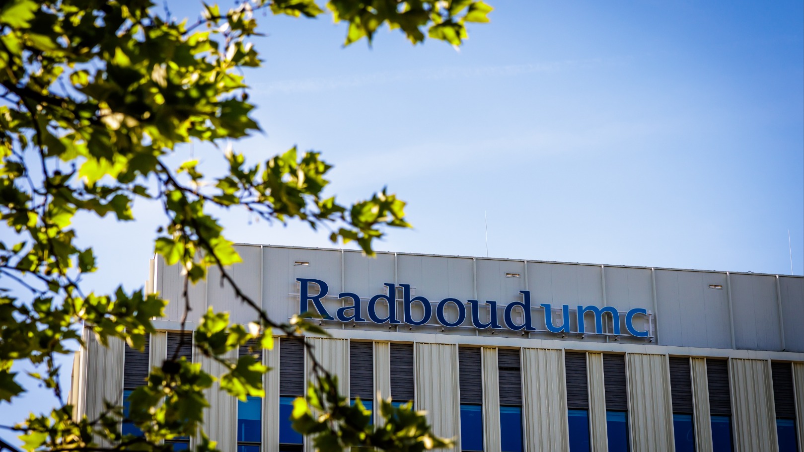 Ook bij alvleesklierkanker overtreft AI artsen in het opsporen van tumoren