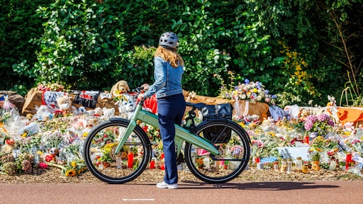 Verdachte moord Lisa (17) vandaag voor het eerst voor rechter, identiteit nog niet bevestigd