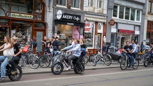 Reizen met auto, vliegtuig en e-bike in de lift