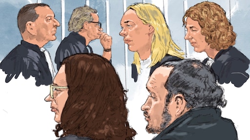 OM wil tbs voor verdachten mishandeling Vlaardings pleegmeisje, gaat in hoger beroep