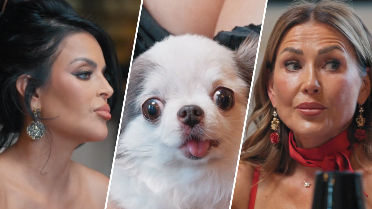 Nieuwkomers vliegen elkaar in de haren tijdens start RHOAMS