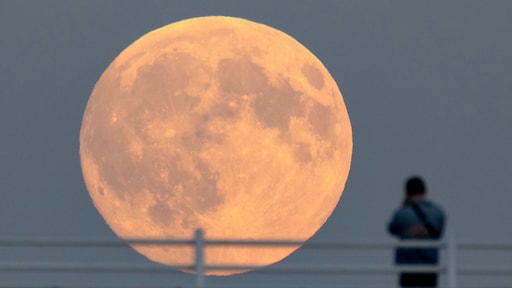 Eerste Europeaan op de maan wordt een Duitser, maar vraag is nog wie en wanneer