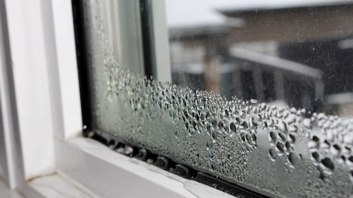 Condens en schimmel in huis: zo voorkom je het en behoud je een gezond binnenklimaat