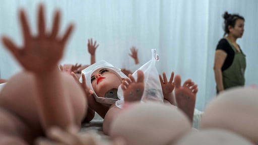 Webshops onder vuur: Zweedse overheid pakt handel in kindsekspoppen aan