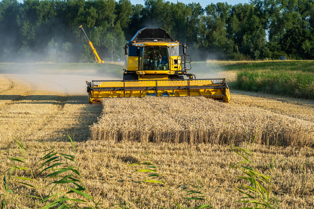 Onderzoek: 'eeuwige chemicaliën' in ontbijtgranen, beschuit en pepernoten
