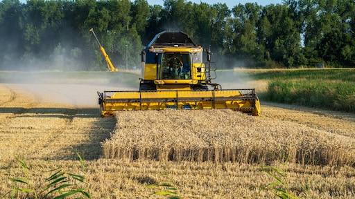 Onderzoek: 'eeuwige chemicaliën' in ontbijtgranen, beschuit en pepernoten