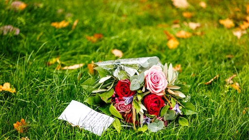 Lichamen vergaan niet snel genoeg, Dordtse begraafplaats opent zonder toestemming keldergraven