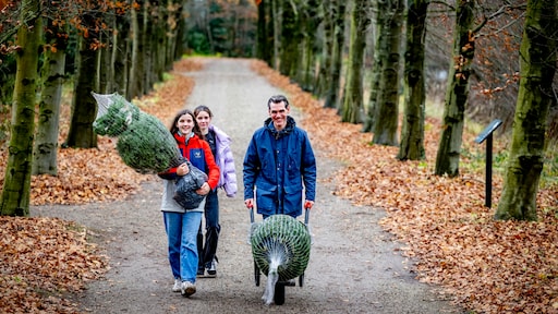 Weer een record verbroken: officieel de warmste 7 december ooit gemeten