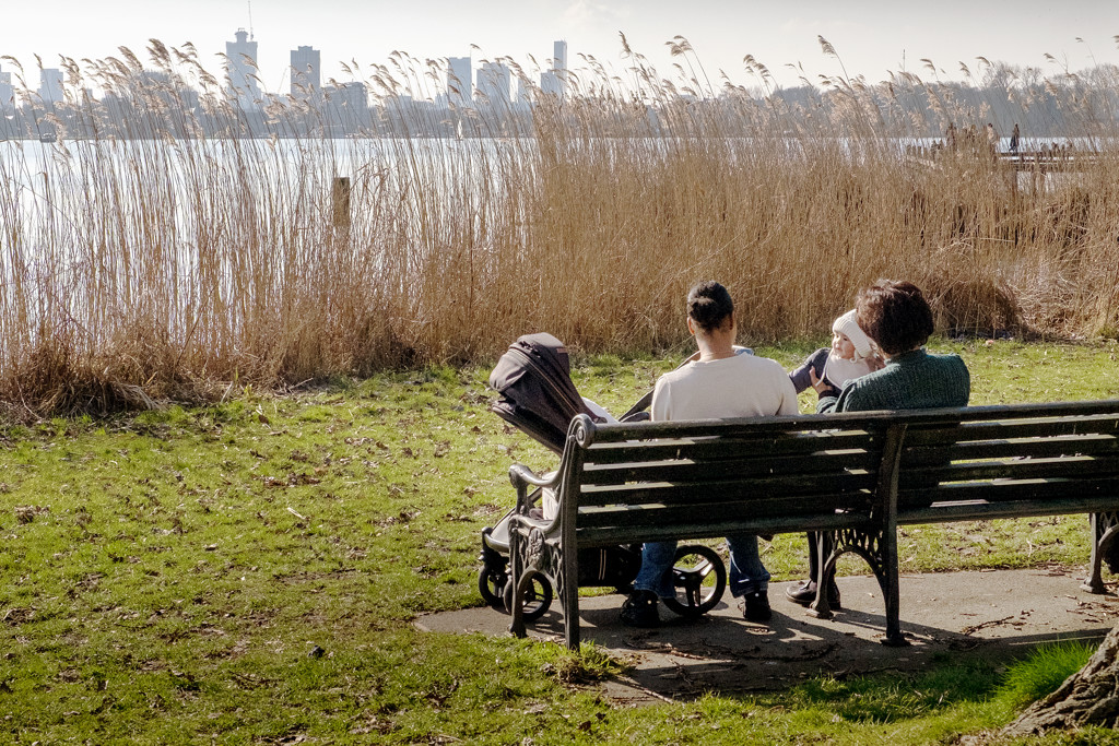 Recordwarmte op komst: Nederland krijgt lente in december