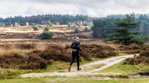 Nog nooit was het zo warm op 9 december, record uit 1964 verbroken