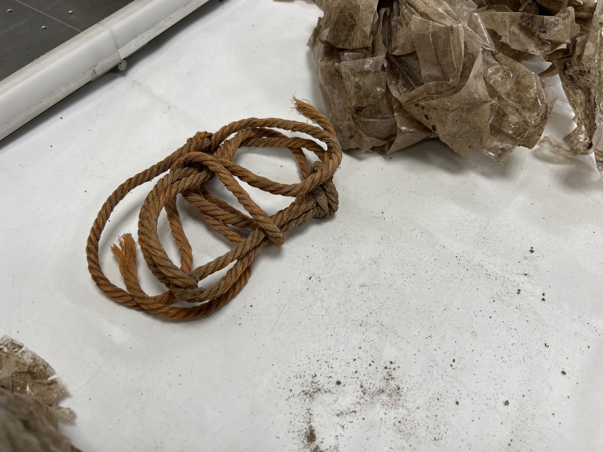 Nog 250.000 vermisten in Syrië: identificatie van lichamen enorme klus