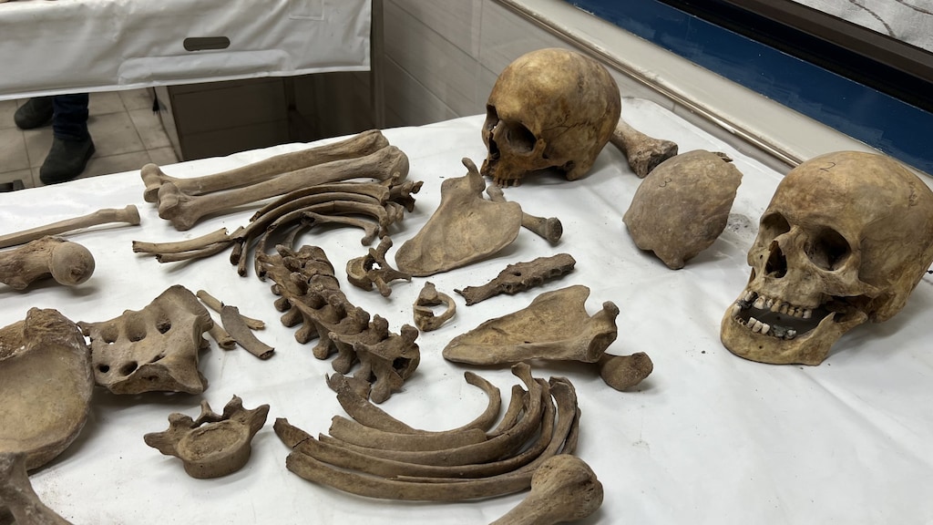 Een deel van de menselijke restanten dat in een massagraf werd gevonden.