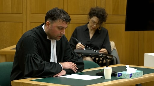 Bestuurder stint vertelt voor het eerst over ongeluk: 'Kon hem niet tot stilstand brengen'