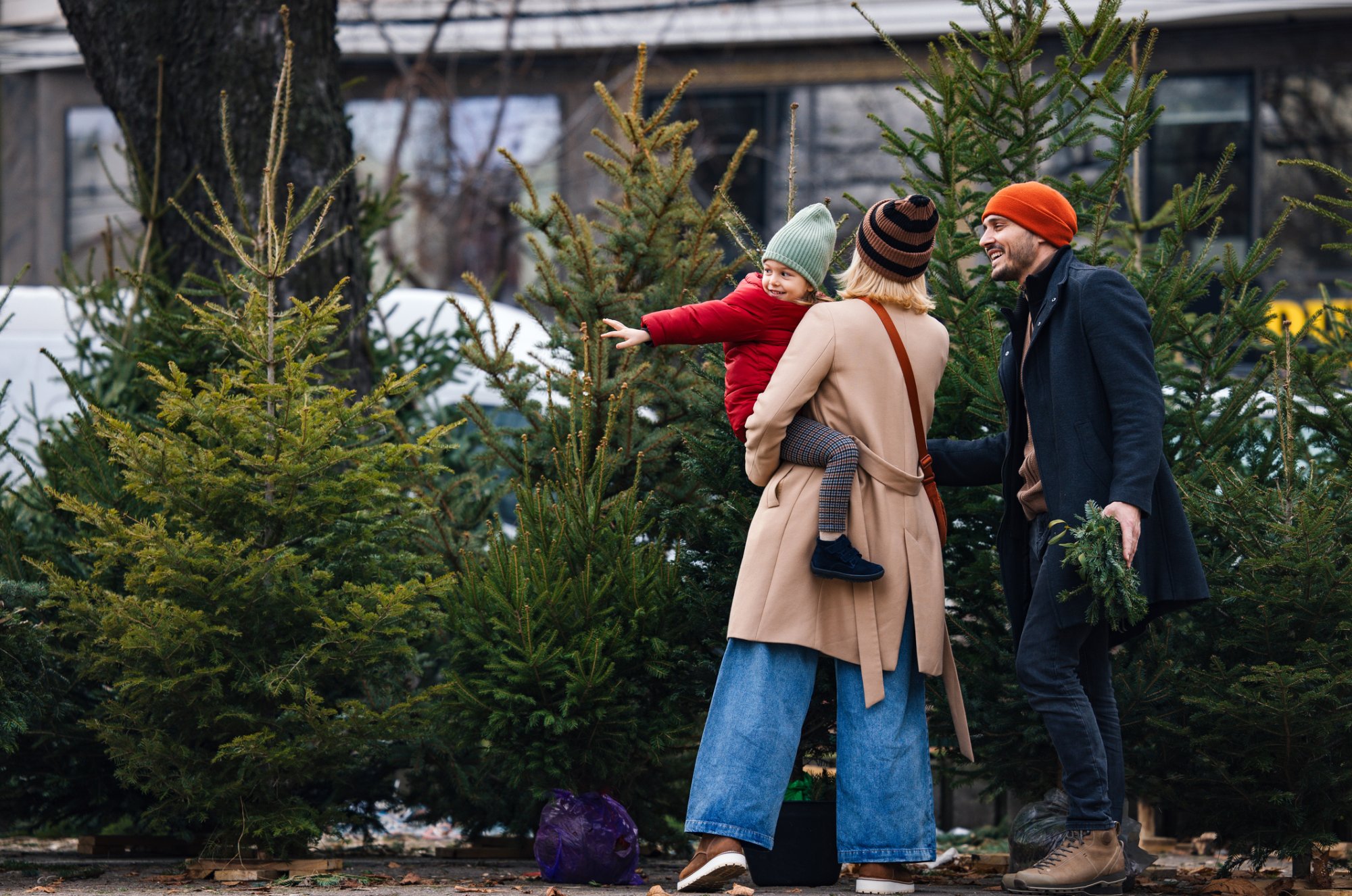 Meest gemaakte kerstboomfouten: ‘Verkeerde plek zorgt voor naalduitval’