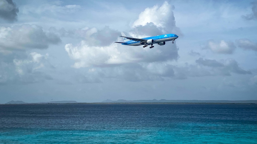 Rat op KLM-toestel na anderhalve dag gevangen, alle reizigers onderweg