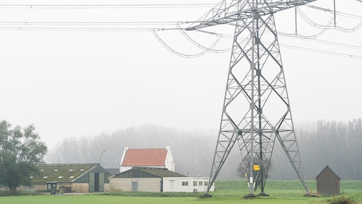 Grijze dag begint met miezer, vanaf morgen volop zon en zachte temperaturen
