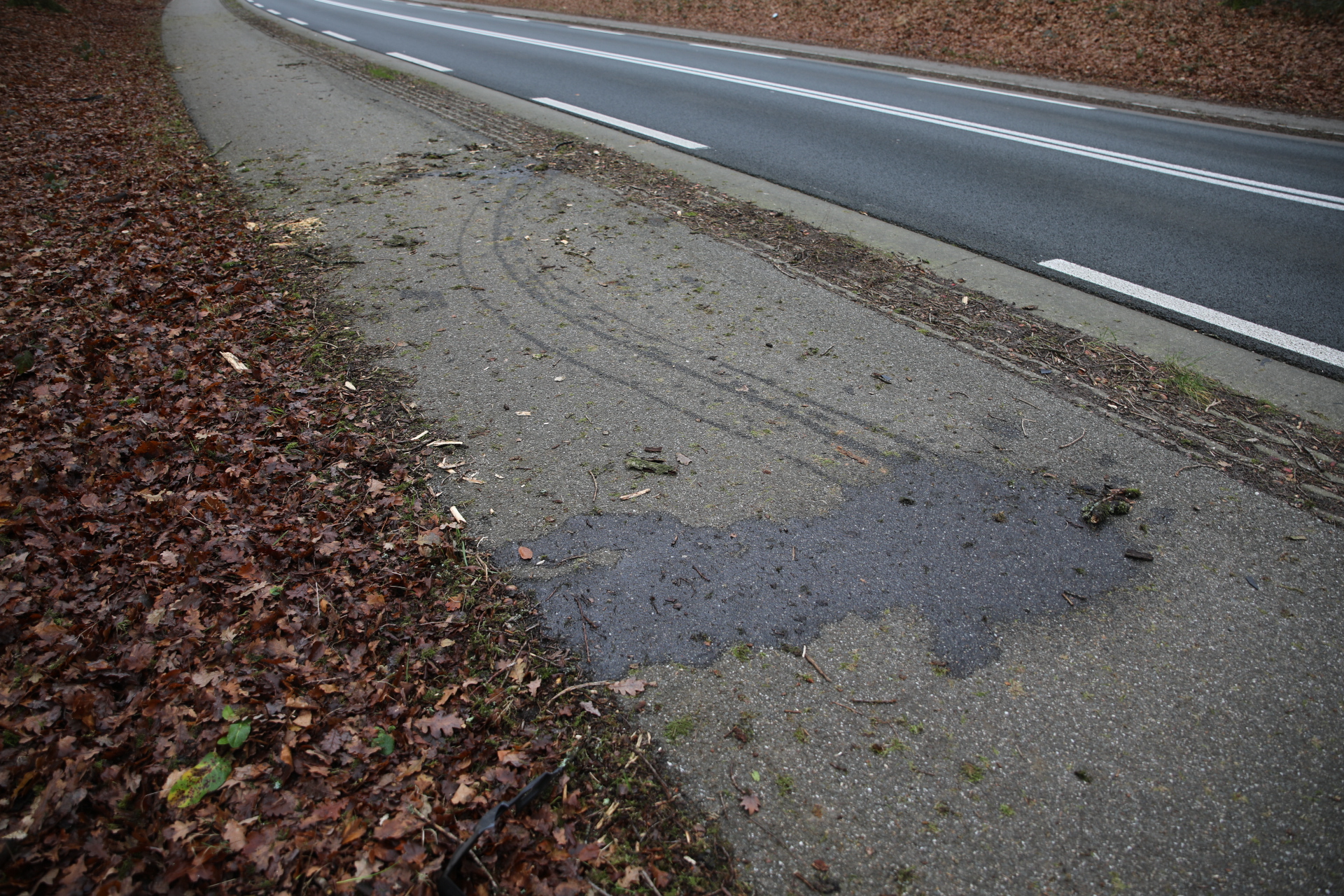 Drie wolven dood in één week tijd, vanochtend bij aanrijding in Hoenderloo
