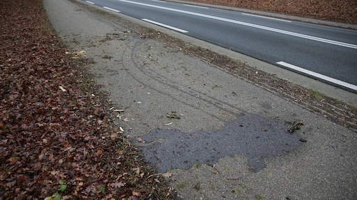 Drie wolven dood in één week tijd, vanochtend bij aanrijding in Hoenderloo