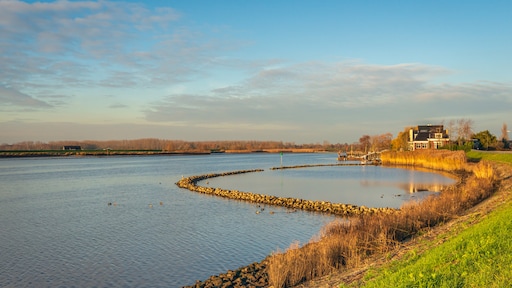 Bijna overal stralend zonnig vanmiddag, morgen grijze dag
