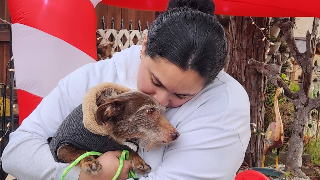 Choco herenigd met zijn baasje.