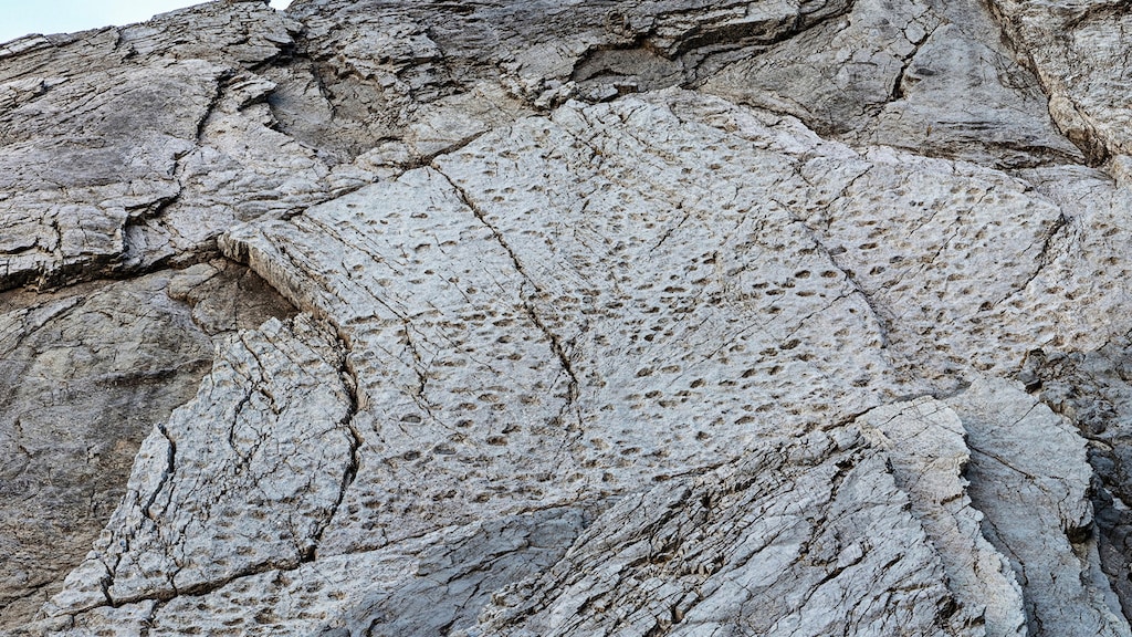 Unieke ontdekking: duizenden dino-voetafdrukken in Italiaanse Alpen