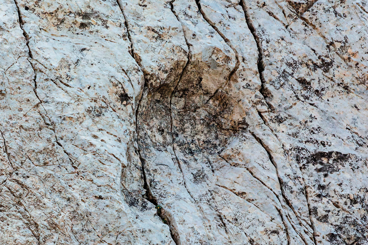 Een foto van de voetafdrukken.