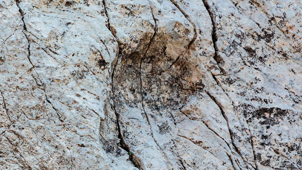 Een foto van de voetafdrukken.