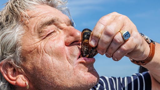 Nederlandse mosselproductie bereikt laagste punt in 30 jaar