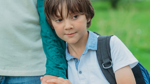 Meer kinderen hebben gescheiden ouders: bekijk hoe het zit in jouw gemeente