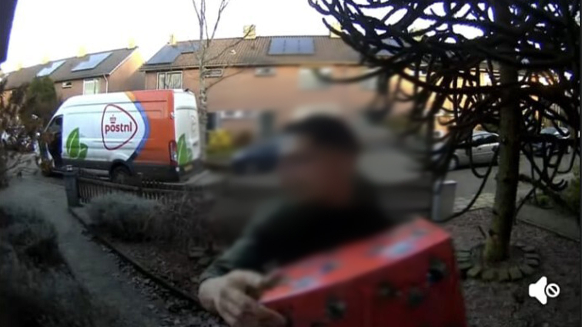 Risicovolle scheiding Siamese tweeling mislukt in Australië: baby Tom ...