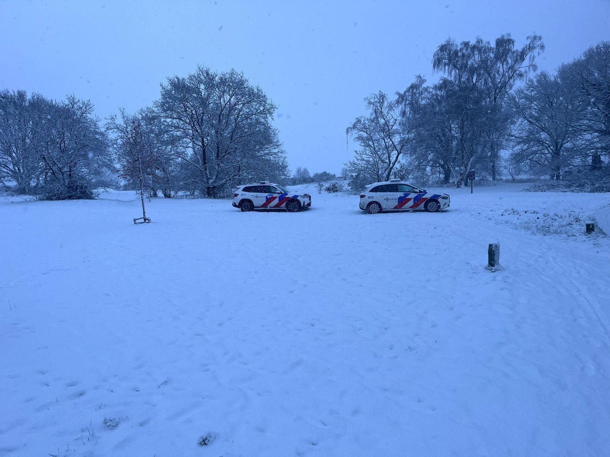 Nizozemska policija izvedla obsežno iskalno akcijo za 13-letno deklico