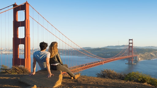 Boekingen naar VS kelderen na onrust, reisbranche maakt zich zorgen