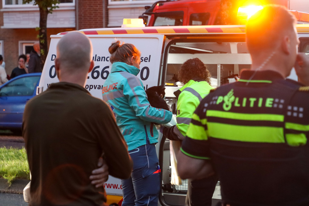 Dierenambulance voelt zich buitengesloten bij hulpverlening explosie Utrecht: 'Dieren zijn de dupe'