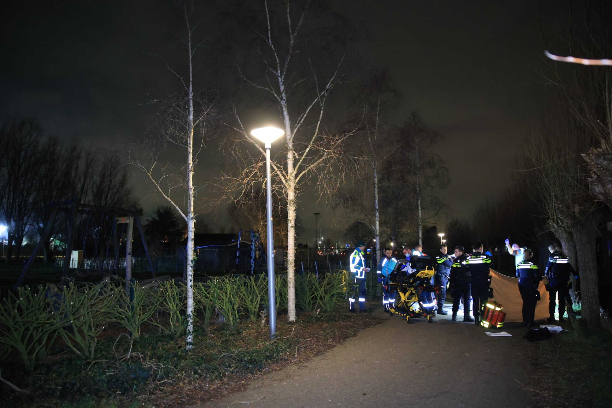 denhoorn_marofer.jpeg?itok=2Ssf943t&width=1024&height=576&impolicy=semi_dynamic