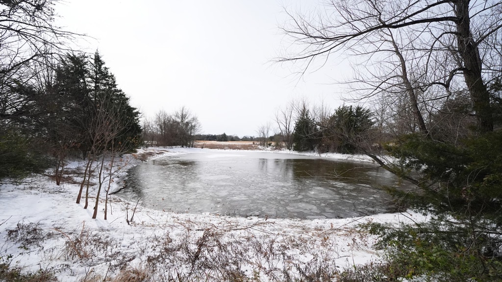 Drie broertjes zakken door ijs in VS, moeder 'kon ze niet redden' uit vijver