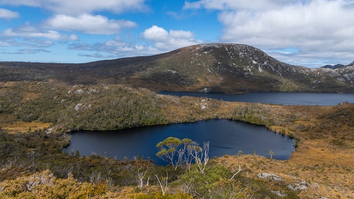 Reisbureau stuurt toeristen door fout AI naar niet-bestaande waterbronnen