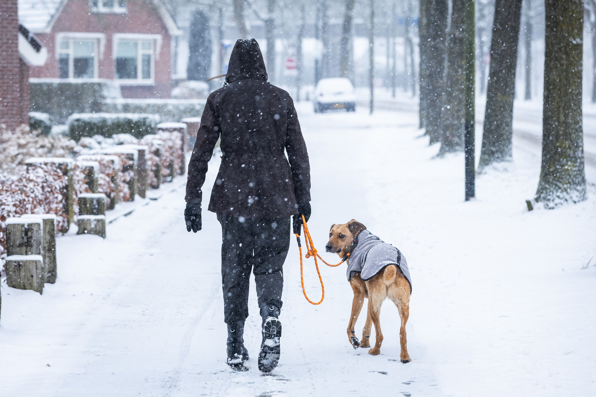 De kou komt weer even terug, zondag paar centimeter sneeuw