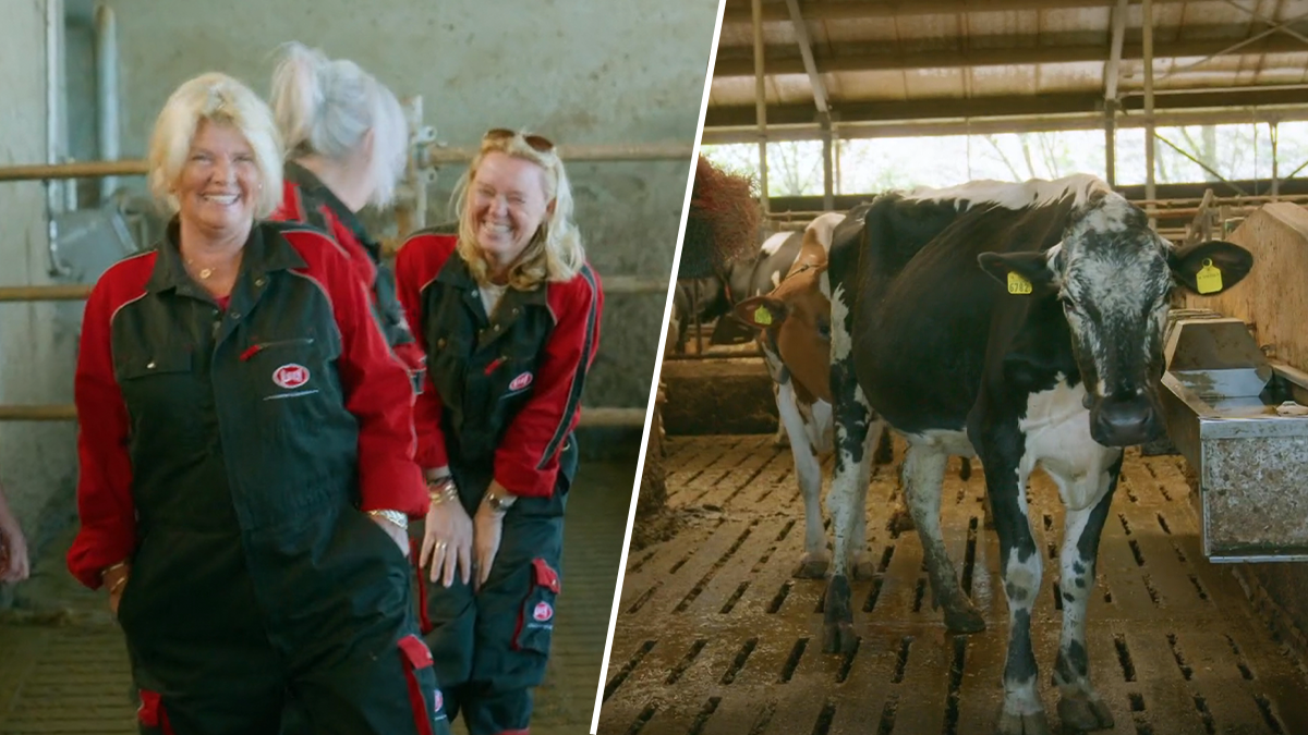 Sandra Bogaart 'ontvoerd' voor verjaardagsfeest in De Bogaartjes