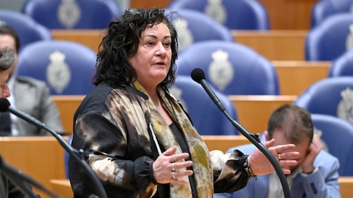 Caroline van der Plas stopt als partijleider BBB