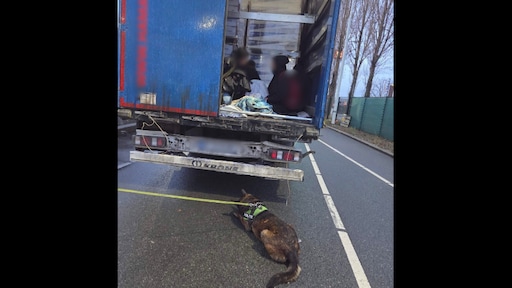 Zes verstekelingen ontdekt bij veerterminal in Vlaardingen