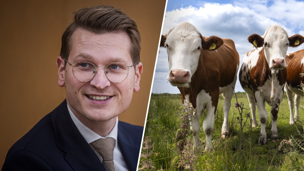 Kabinet trekt ruim 2,7 miljard euro uit voor vrijwillig uitkopen boeren